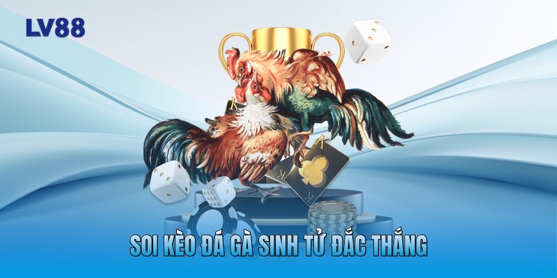 Soi kèo đá gà sinh tử đắc thắng